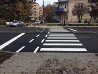 Imagine atasata: zebre 01.jpg